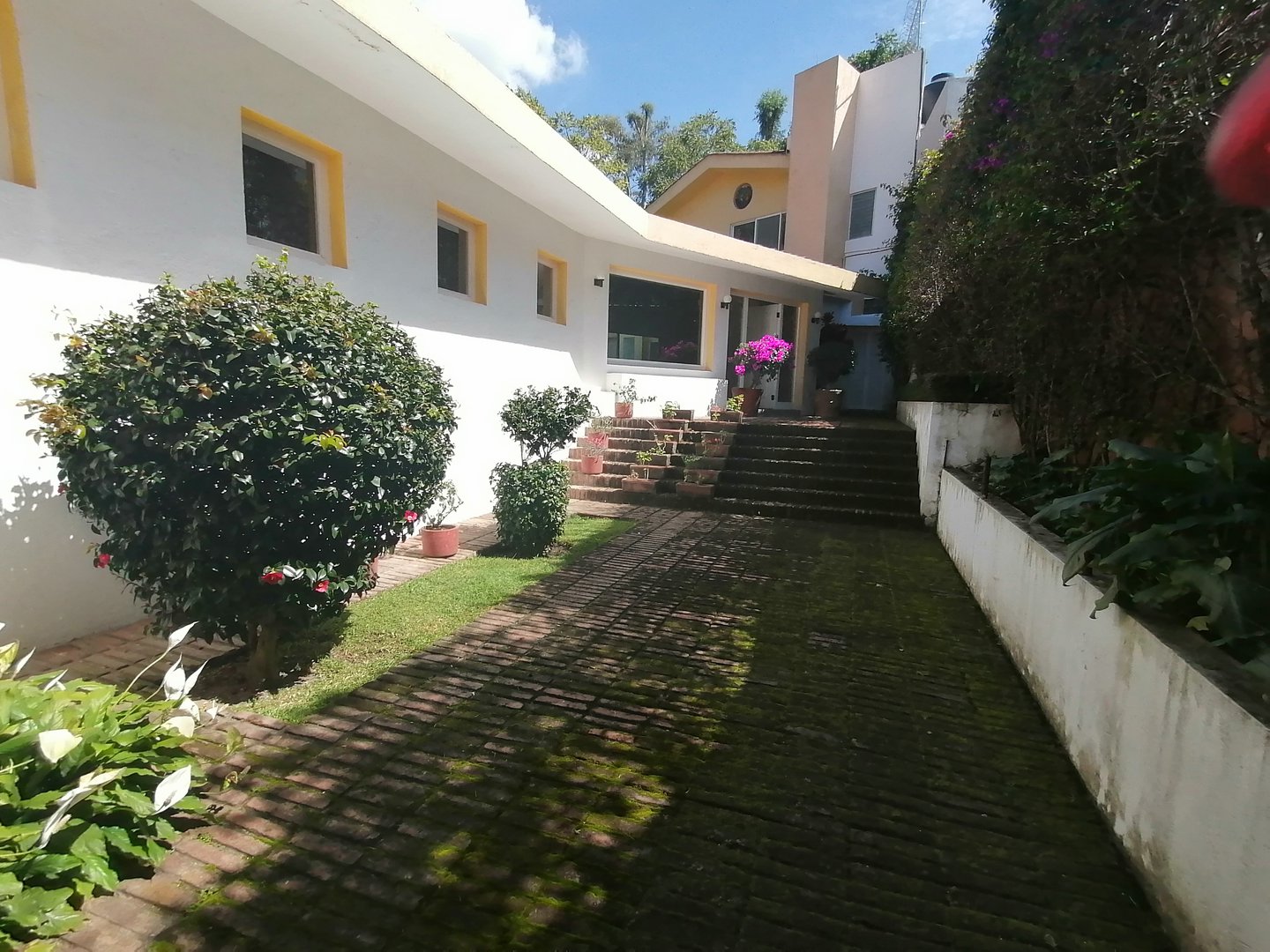Sra. Medellin.com