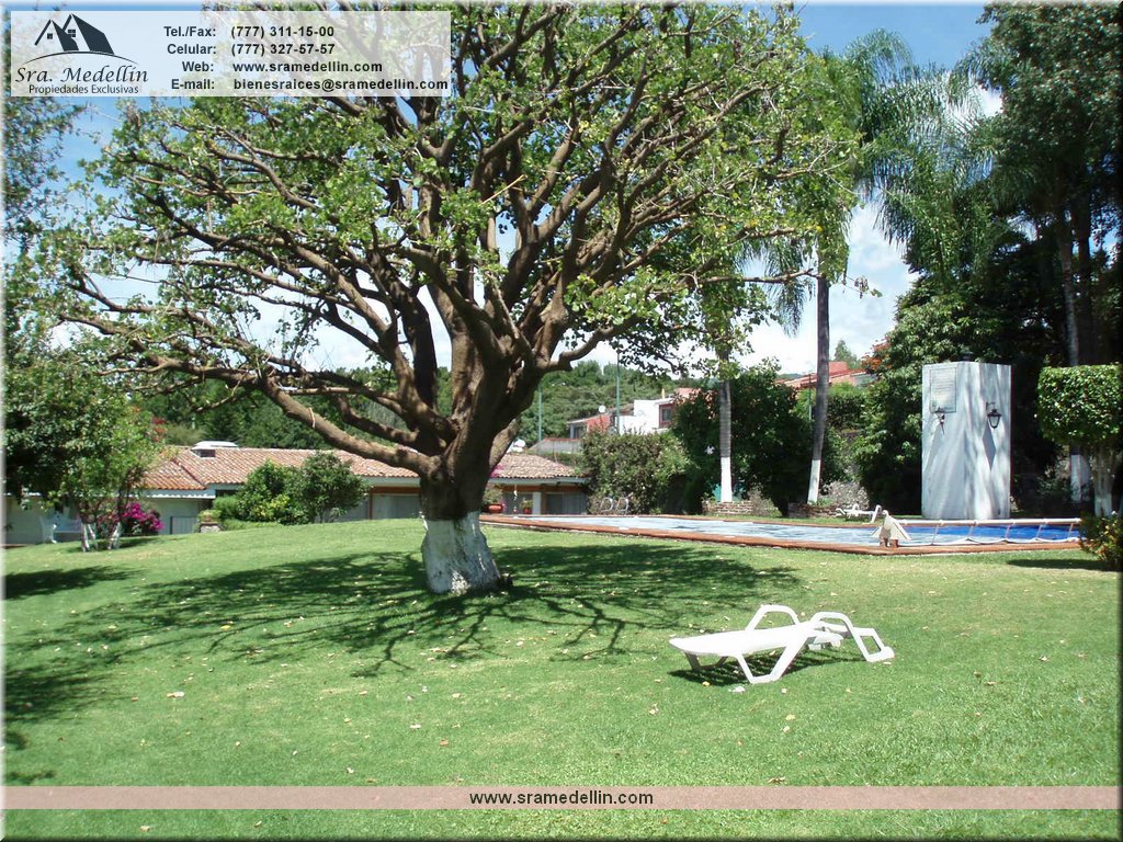 Sra. Medellin.com