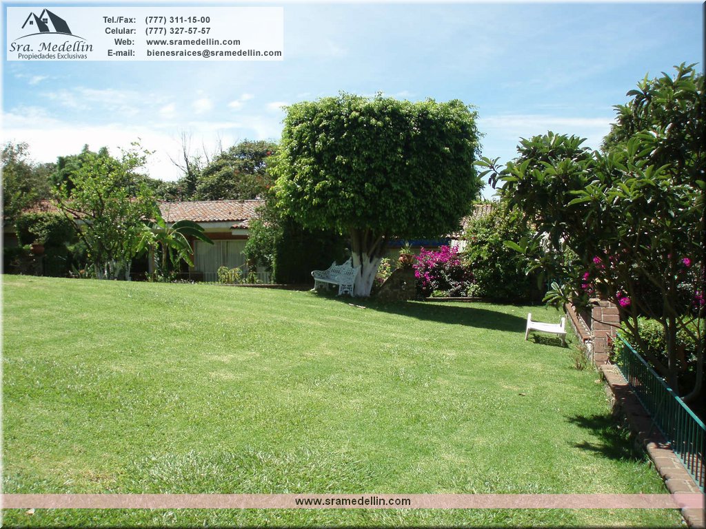 Sra. Medellin.com