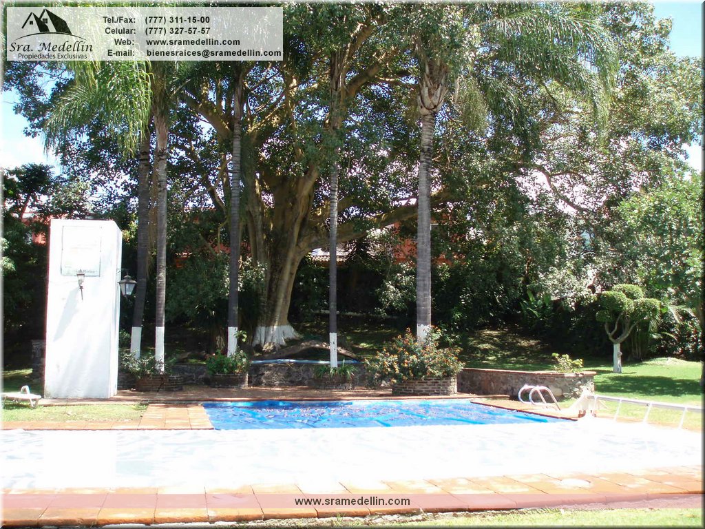 Sra. Medellin.com