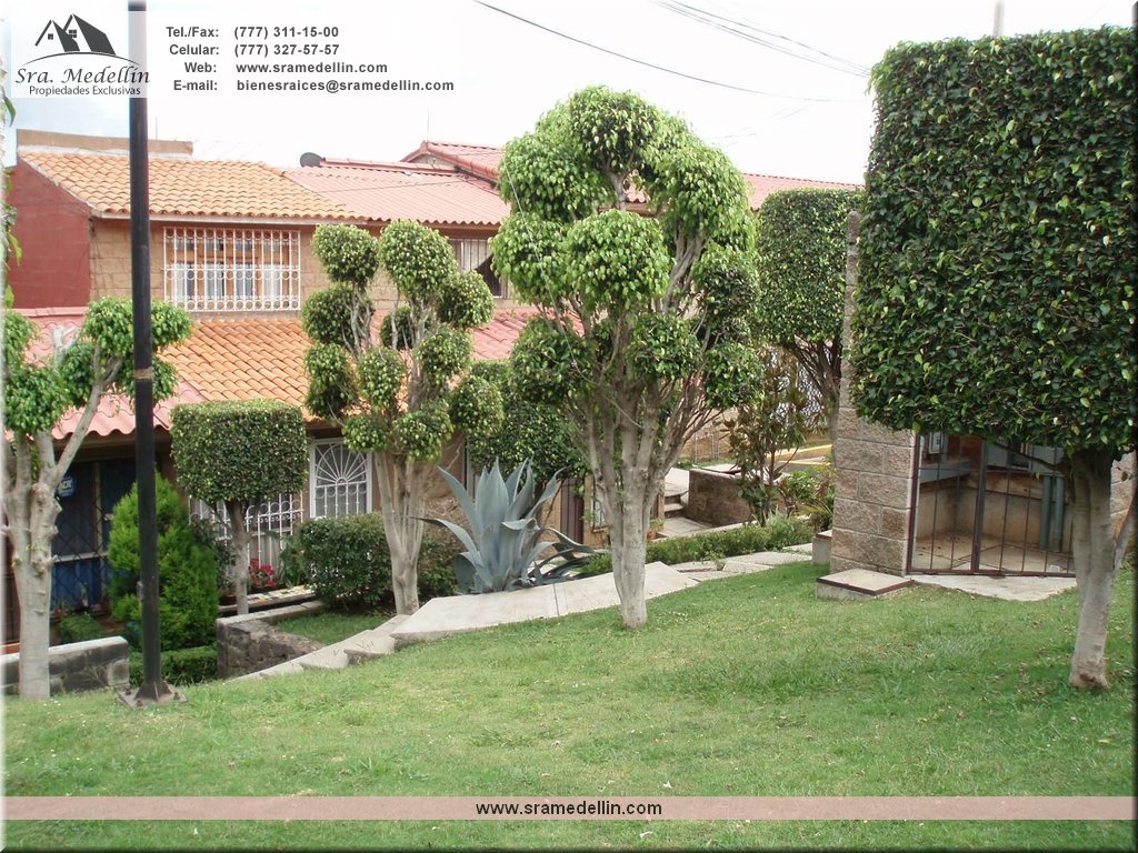 Sra. Medellin.com