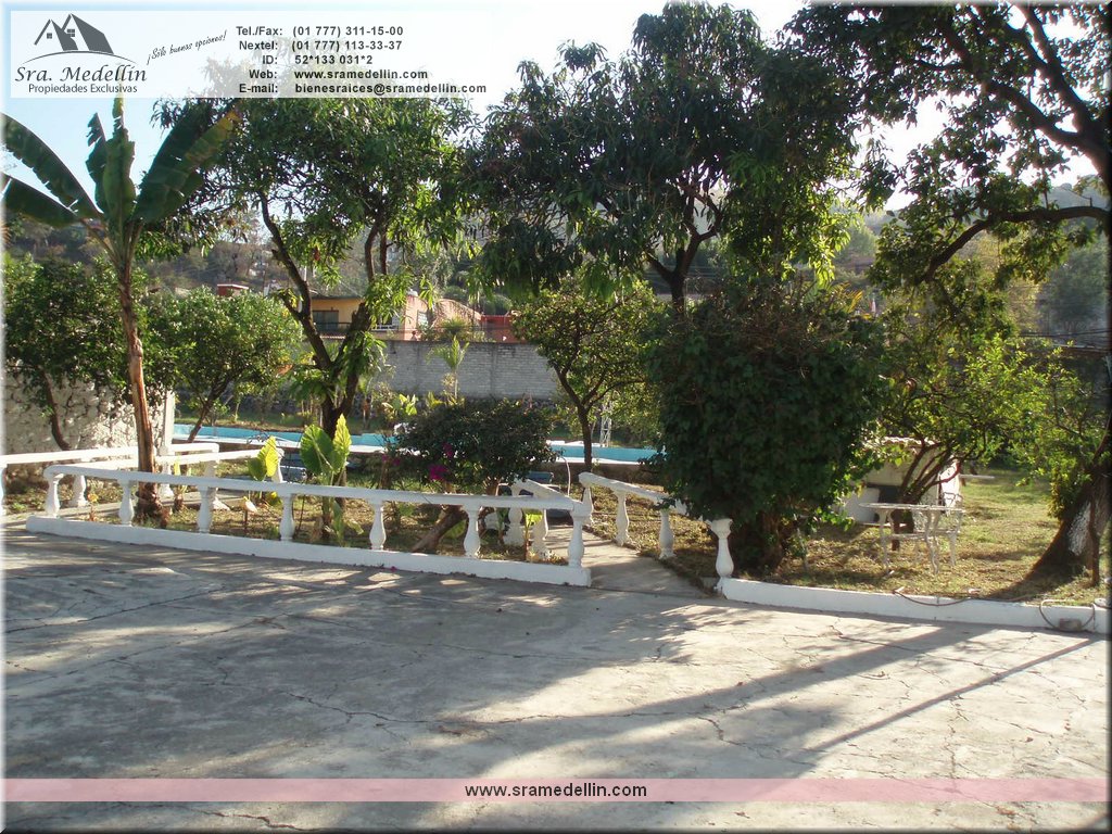 Sra. Medellin.com