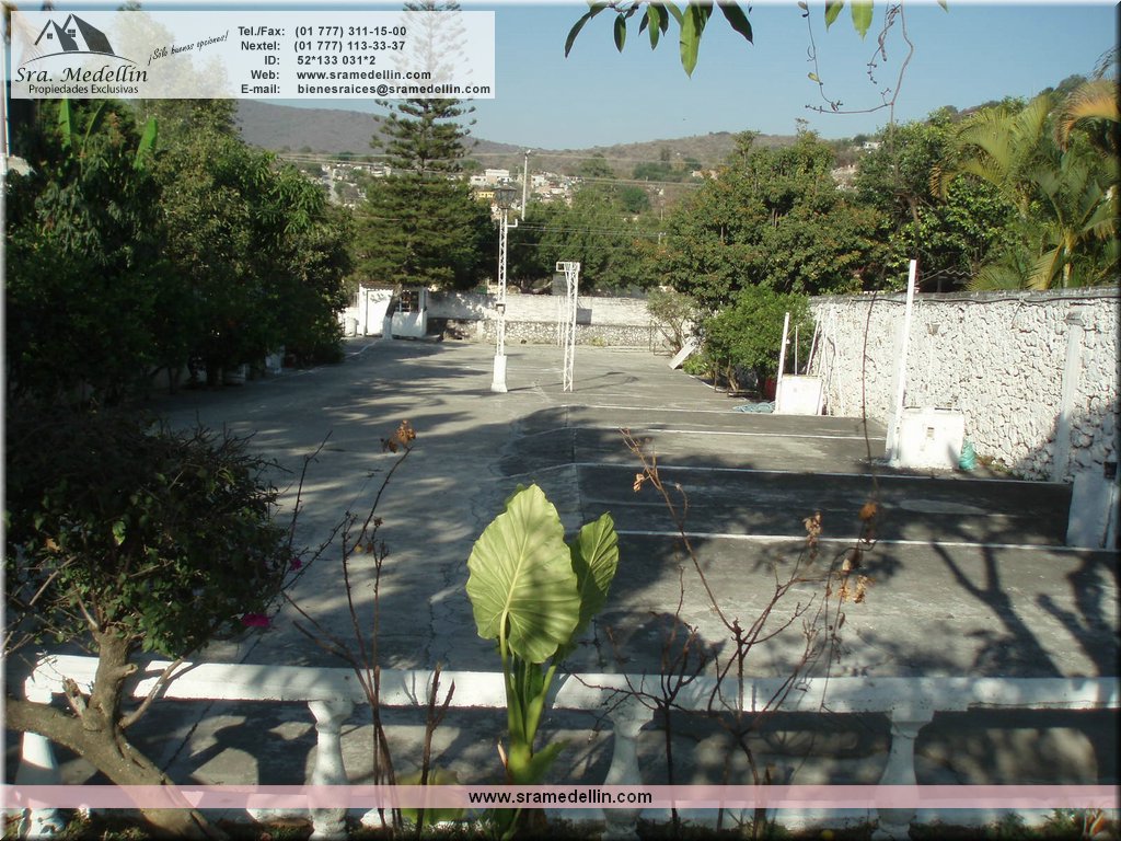 Sra. Medellin.com
