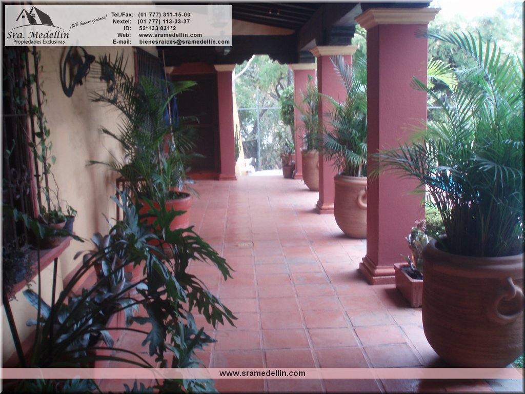 Sra. Medellin.com