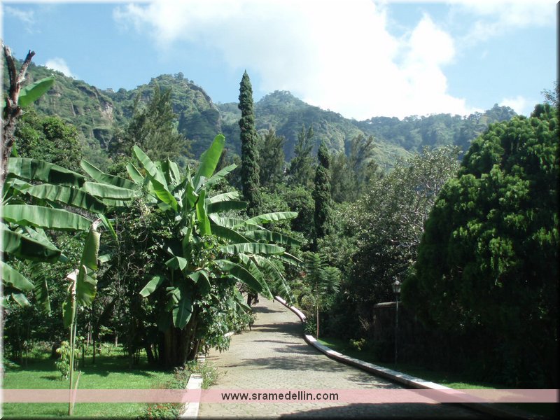 Sra. Medellin.com