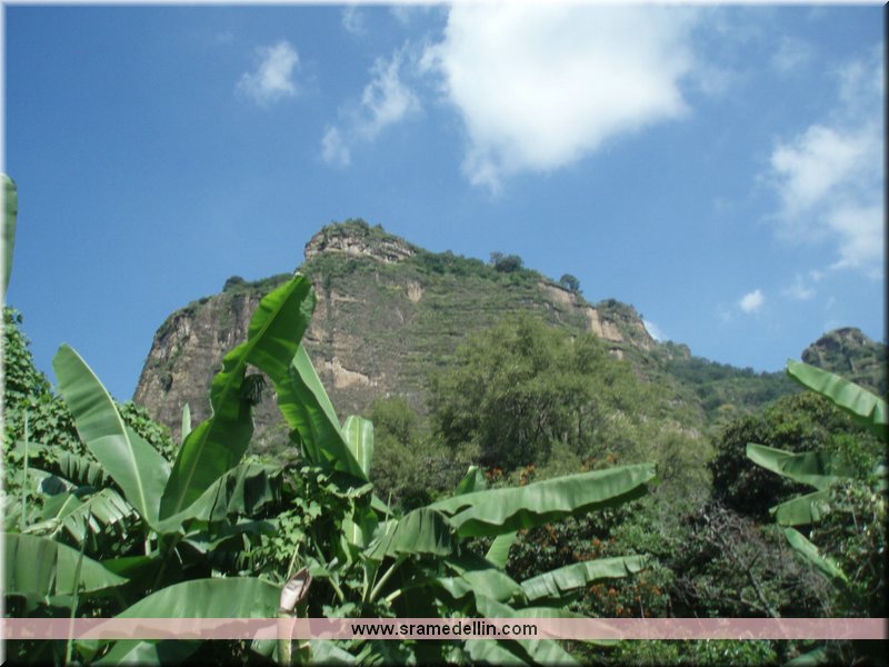 Sra. Medellin.com