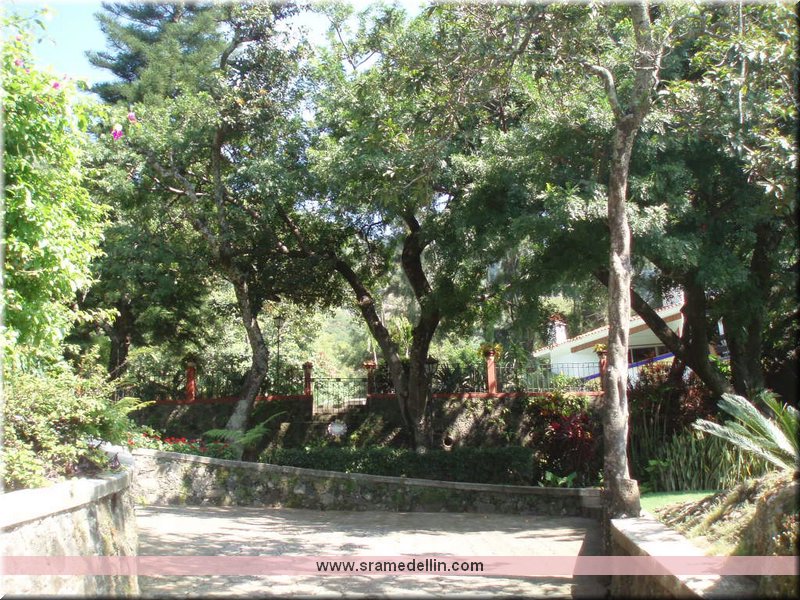 Sra. Medellin.com