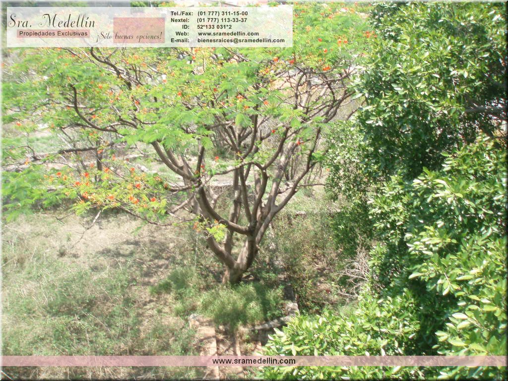 Sra. Medellin.com