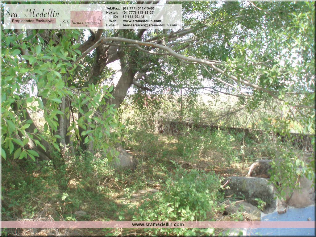 Sra. Medellin.com
