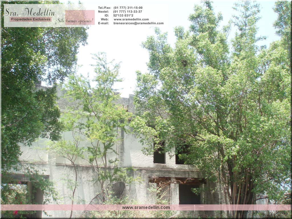 Sra. Medellin.com