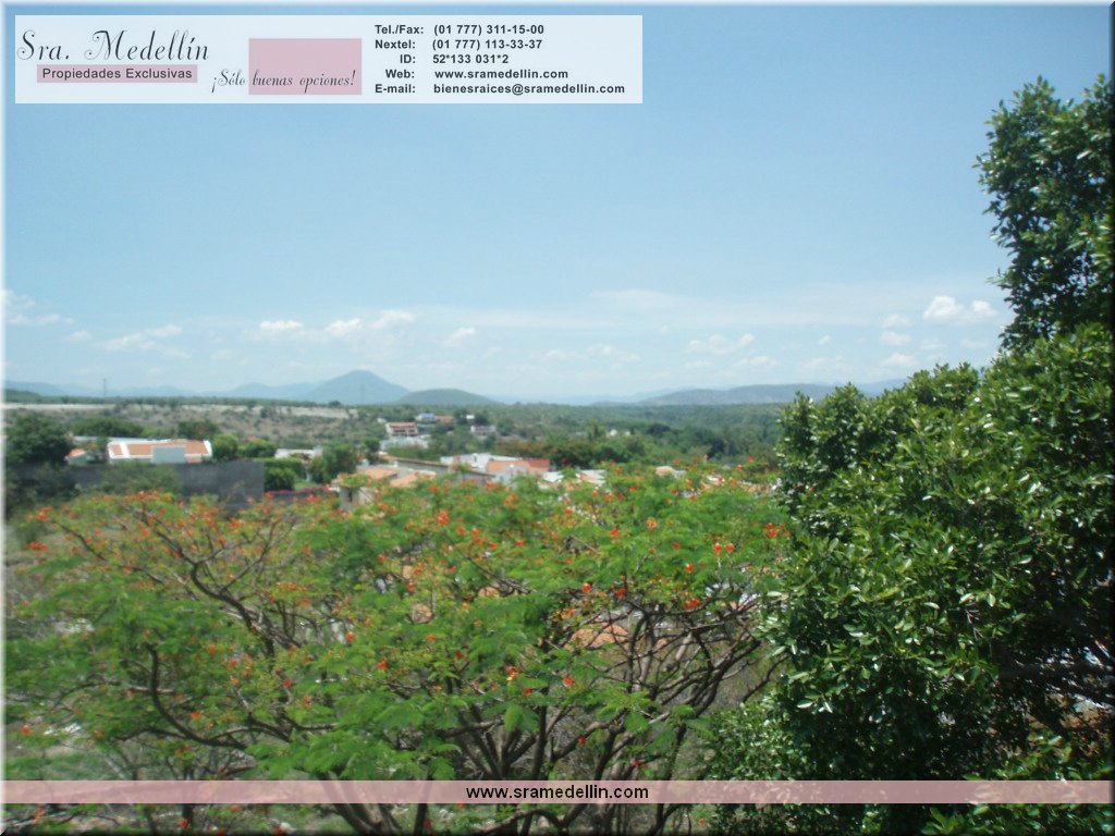 Sra. Medellin.com