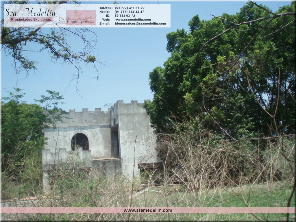 Sra. Medellin.com
