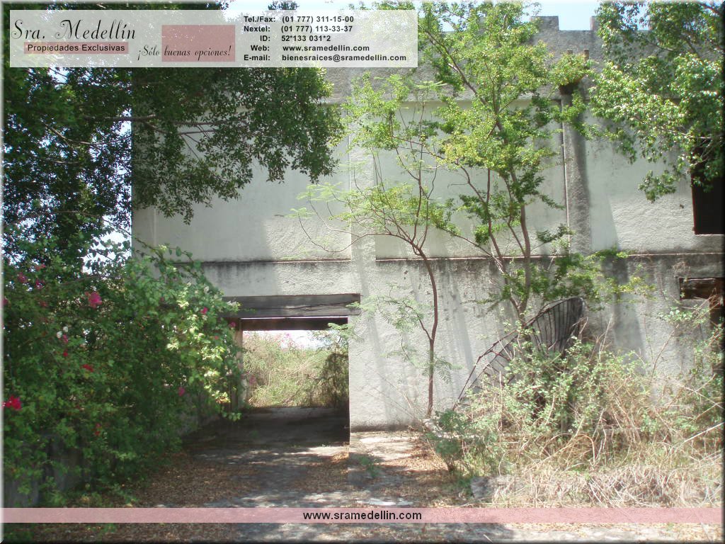 Sra. Medellin.com