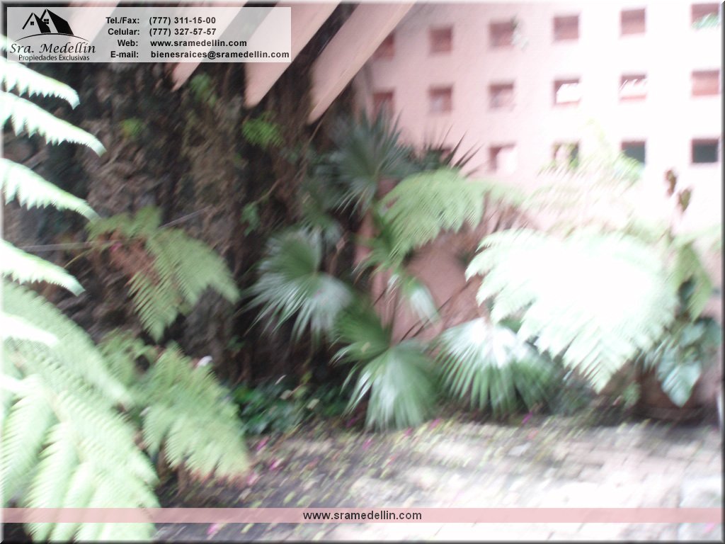 Sra. Medellin.com